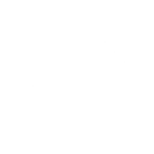Analyse & Optimierung